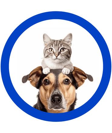 Pet