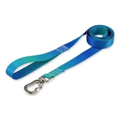 Kit Para Cachorros Guia Basic + Peitoral Americano