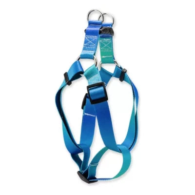 Kit Para Cachorros Guia Basic + Peitoral Americano