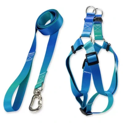 Kit Para Cachorros Guia Basic + Peitoral Americano