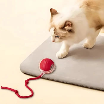 Electric Ball